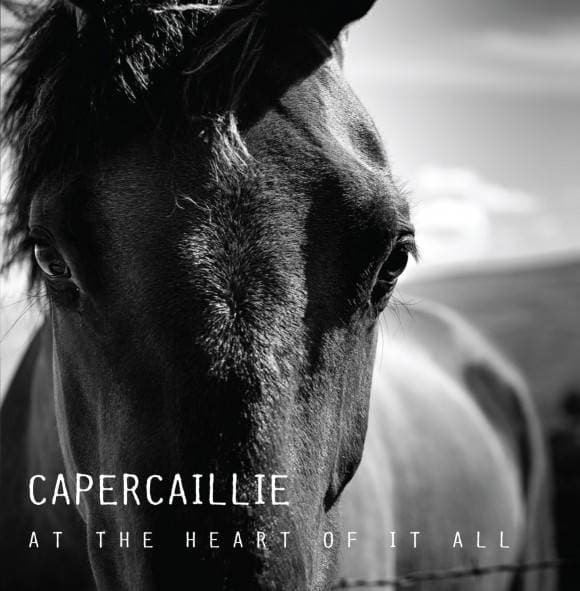 CAPERCAILLIE - AT THE HEART OF IT ALL